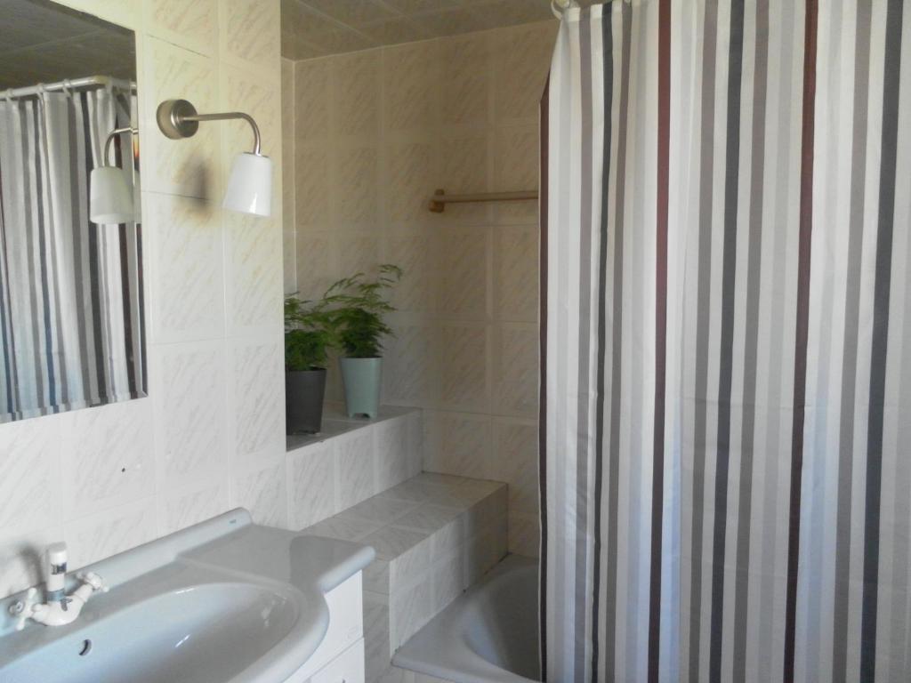 Lemon Tree Hostel Арея-Бранка Номер фото
