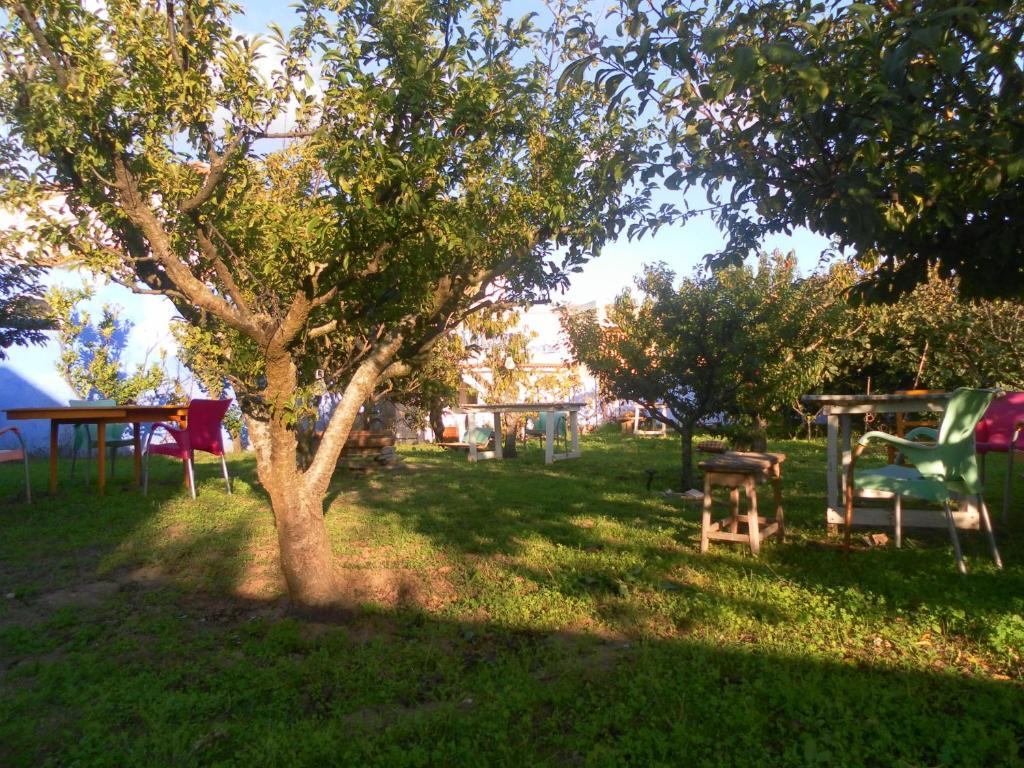 Lemon Tree Hostel Арея-Бранка Номер фото
