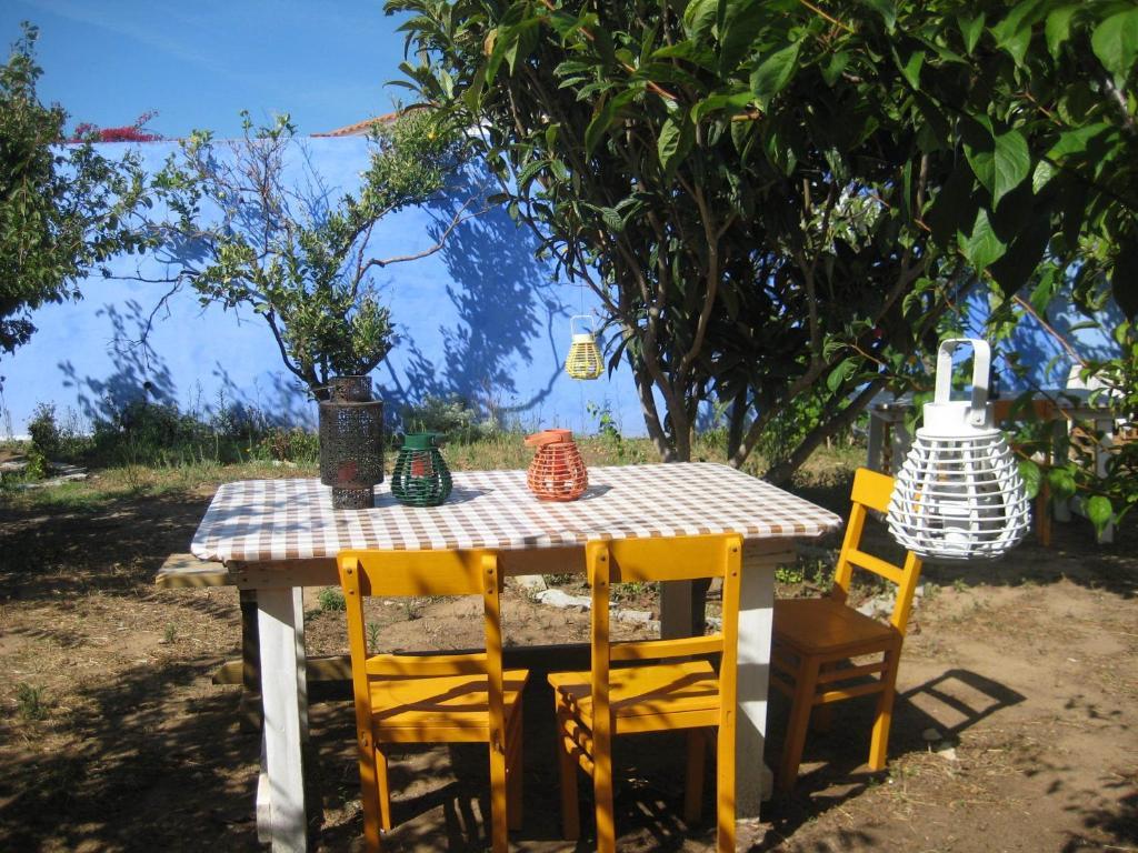 Lemon Tree Hostel Арея-Бранка Номер фото